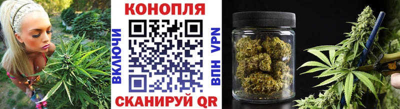 Конопля планчик  где купить наркоту  Красавино 